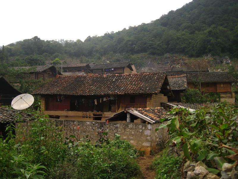 威龙村