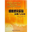 细菌感染实验诊断与分析
