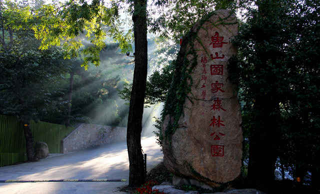博山区