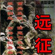 远征(独钓寒江雪所着军事小说)