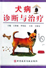 犬病诊断与治疗 犬病诊断与治疗