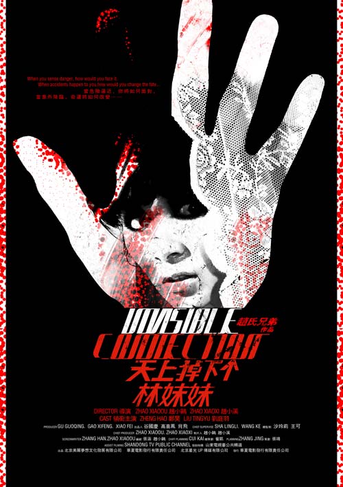 天上掉下个林妹妹(2010年郑昊主演电影)