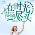 在时光尽头等你