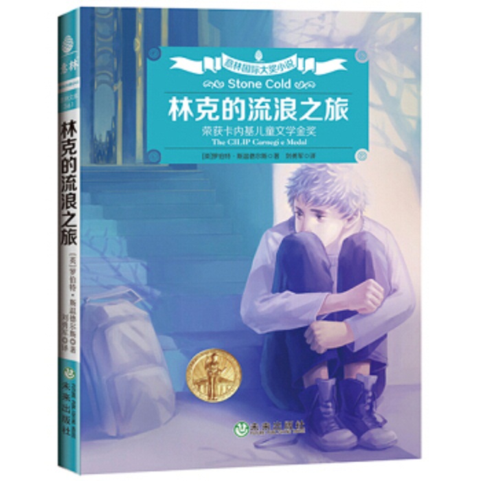 意林国际大奖小说：林克的流浪之旅