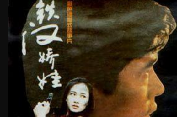 铁汉娇娃(1994年胡立德导演大陆电影)