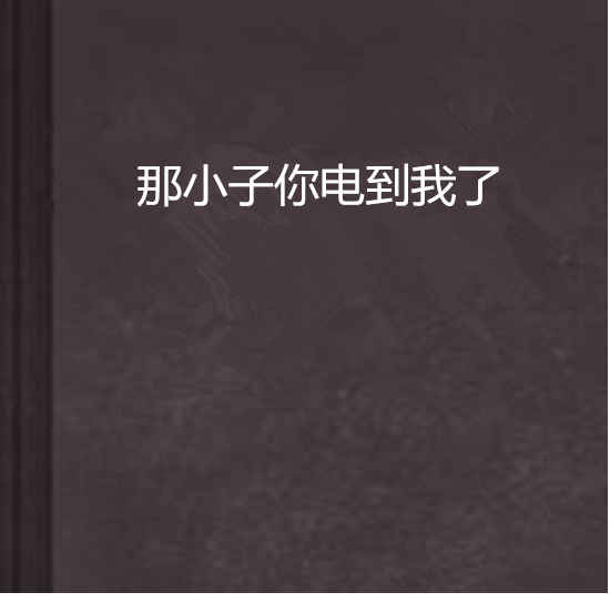 那小子你电到我了