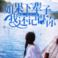 如果下辈子我还记得你(黑岩网签约作品)
