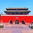中岳古庙会