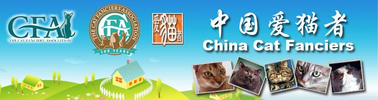CCF协会 CCF协会
