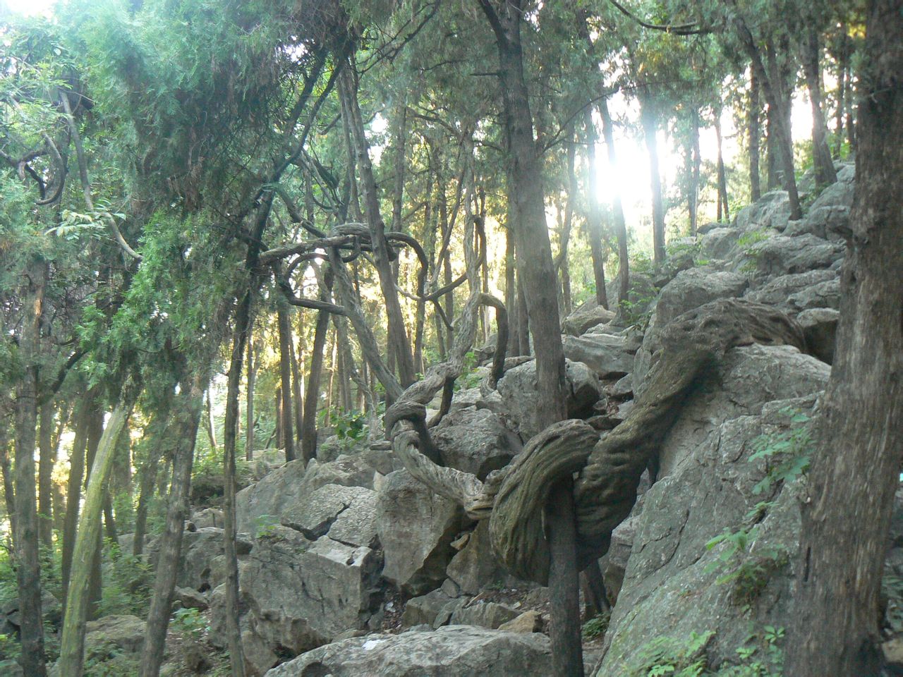文峰山 文峰山