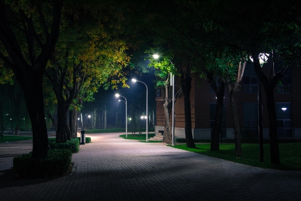 院所风景