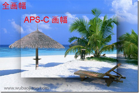全画幅与APS-C画幅的照片对比