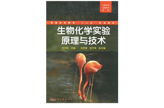 生物化学实验原理与技术(生物科学生物技术系列：生物化学实验原理与技术)