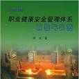 职业健康安全管理体系原理与实施