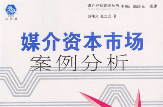 媒介资本市场案例分析