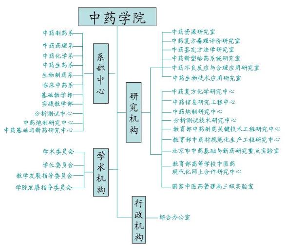 中药学院机构设定图