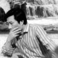宋大成(电视剧《渴望》中男主人公之一)