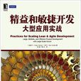 精益和敏捷开发大型套用实战