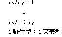 单体 单体