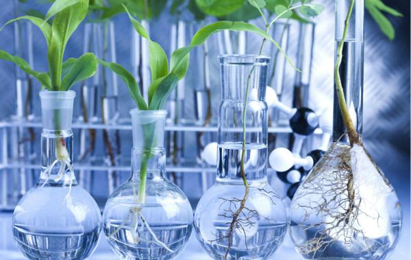 生物科学类