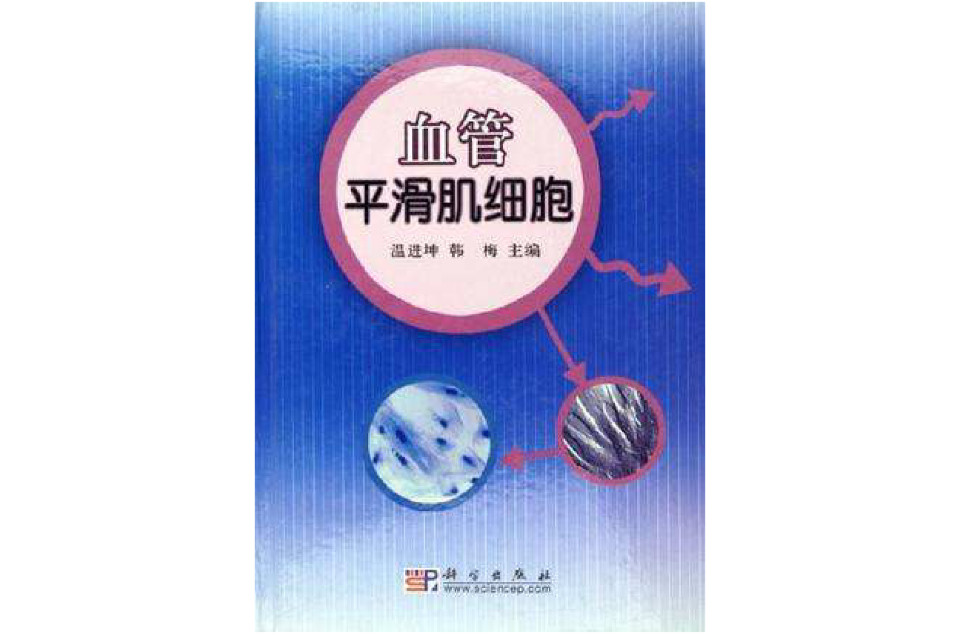 血管平滑肌细胞