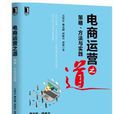 电商运营之道：策略、方法与实践