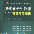 现代分子生物学辅导与习题集（第二版）