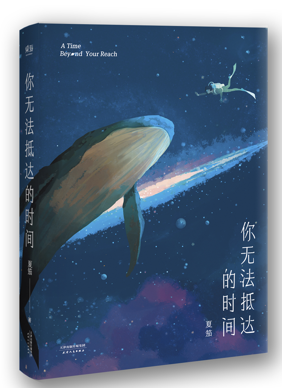 你无法抵达的时间