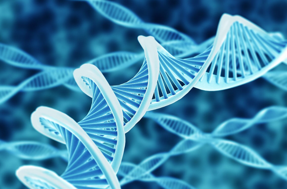 分子生物学(分子生物)