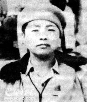 杨金秀 杨金秀