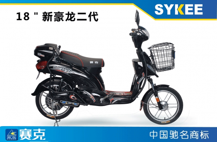 赛克电动车 赛克电动车