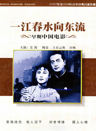 王苹(中国内地女导演)