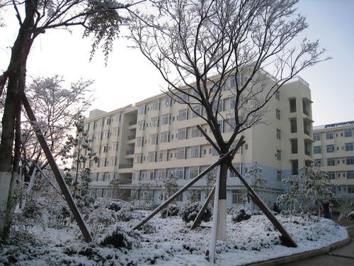 雪后的校园 雪后的校园