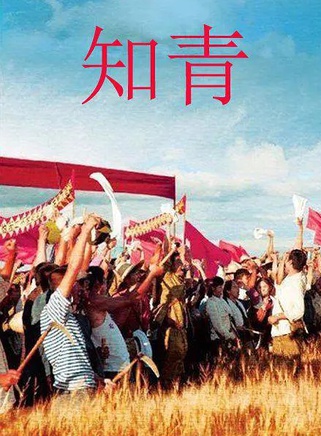 刘婧