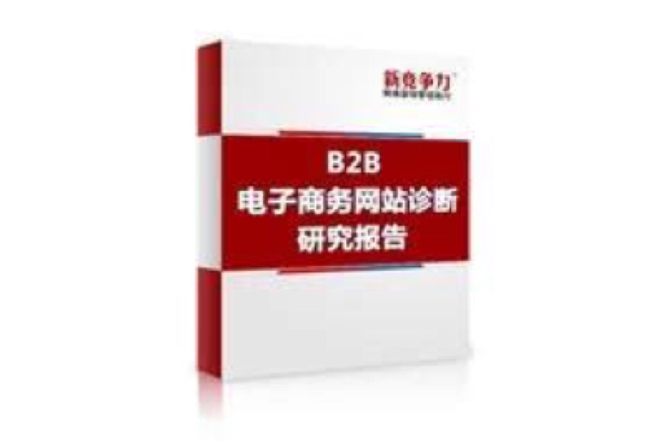 B2B电子商务网站诊断研究报告(B2B电子商务网站研究策略报告)