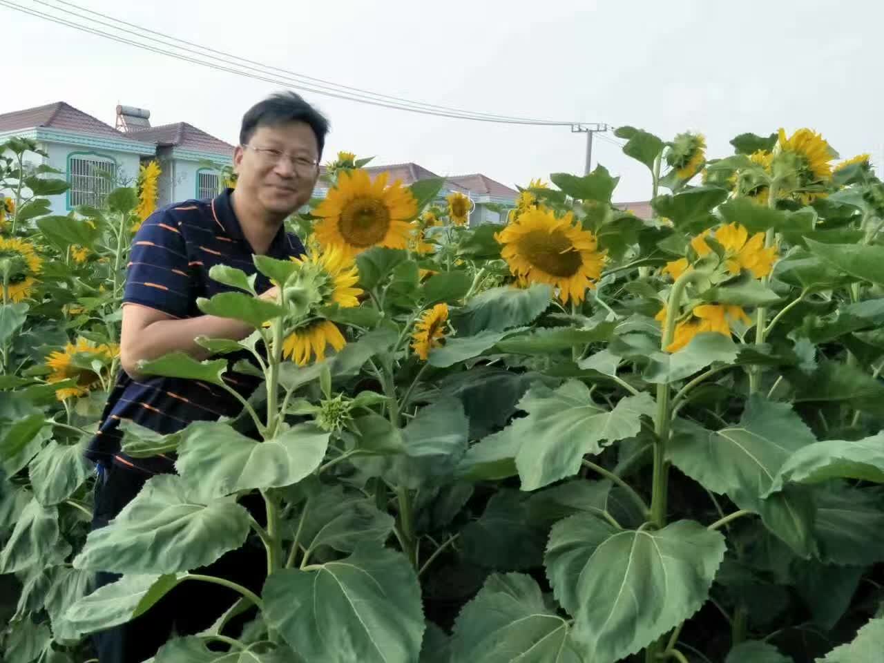 刘须进