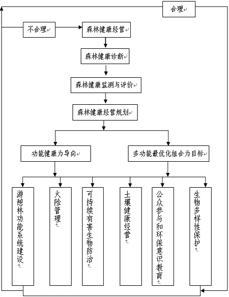 经营规划 经营规划