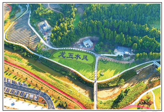 五龙村(贵州六盘水六枝特区九龙街道五龙村)