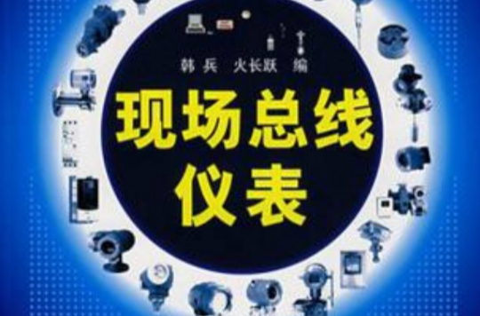 现场汇流排仪表