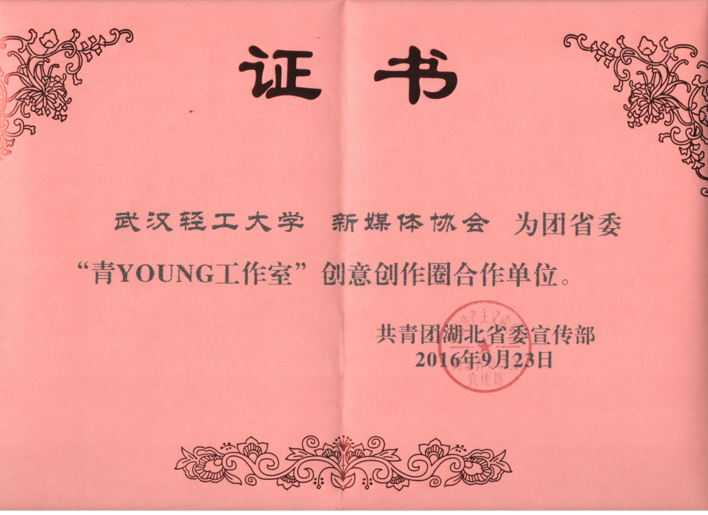 团省委授权证书