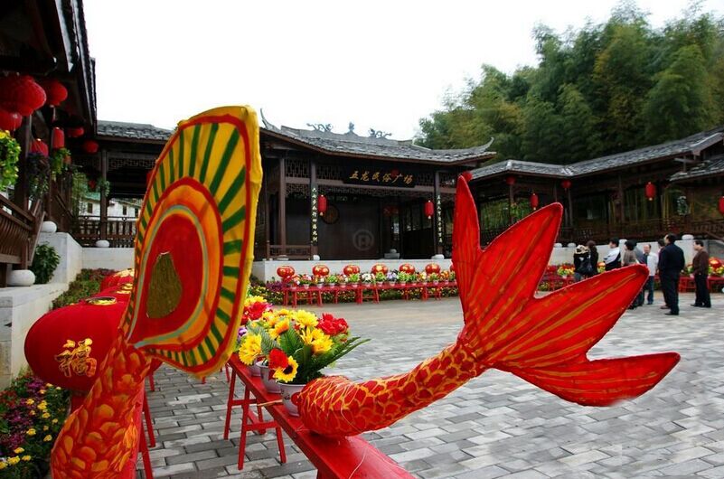 五龙村(浙江省德清县武康镇五龙村)