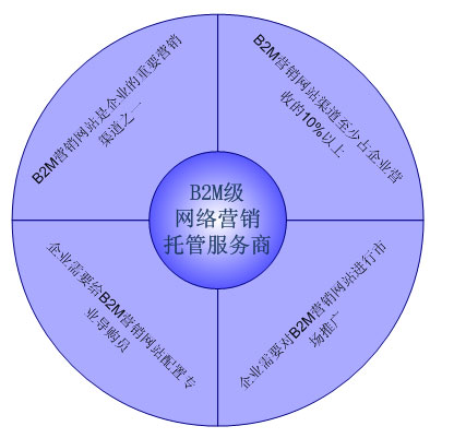 B2M(面向市场行销的电子商务企业)