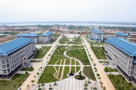湖北中医药大学临床医学院