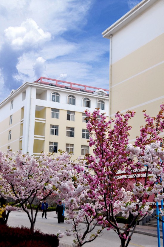 青岛胶南珠山职业学校