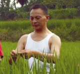 张纯烈