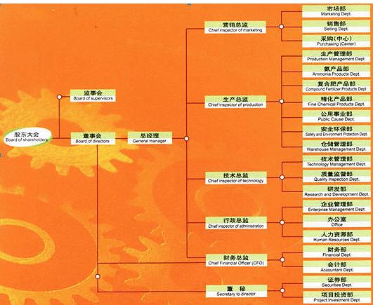 江苏华昌化工股份有限公司组织架构