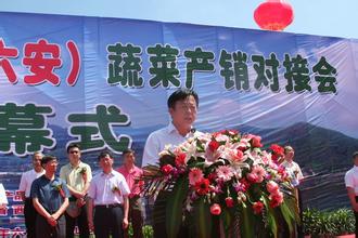 首届“中国大别山 蔬菜产销对接会”