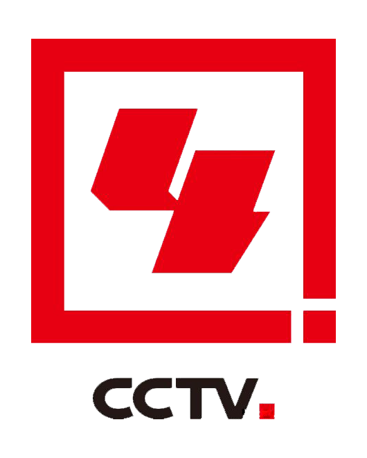 CCTV4二级标识（2016版）