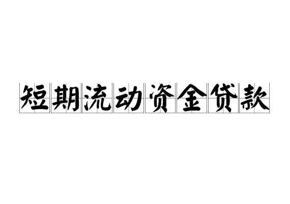 短期流动资金贷款
