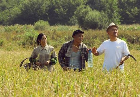 乡村爱情(乡村爱情洛杉矶奇遇记)